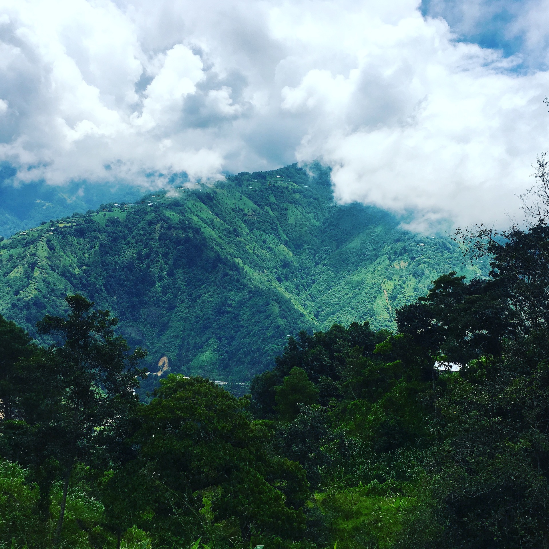 mountain Chiapas Tim Lang